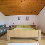 Pahljina 2885 Palit