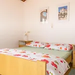 Pahljina 2885 Palit