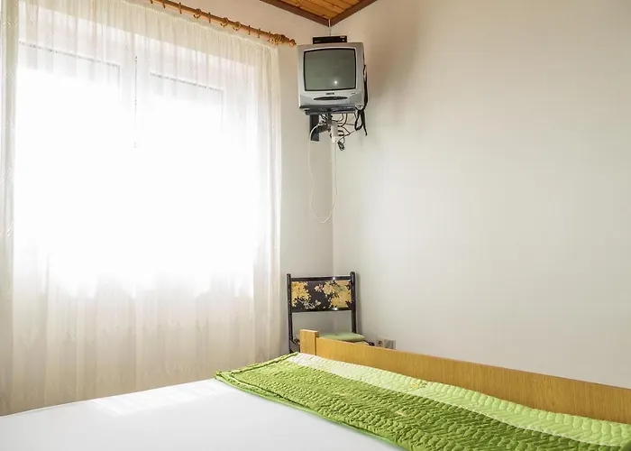 Pahljina 3* Palit