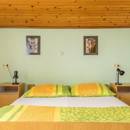 Pahljina Penzion New Translation